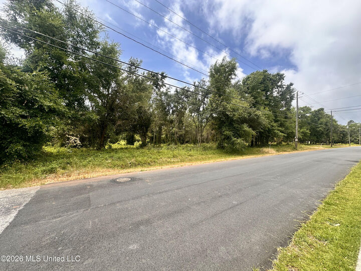 Property Photo:  Lot 9 Magnolia Street  MS 39560 