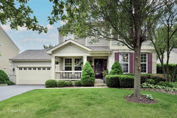 Property Photo: 247 Pawtucket Avenue IL 60124