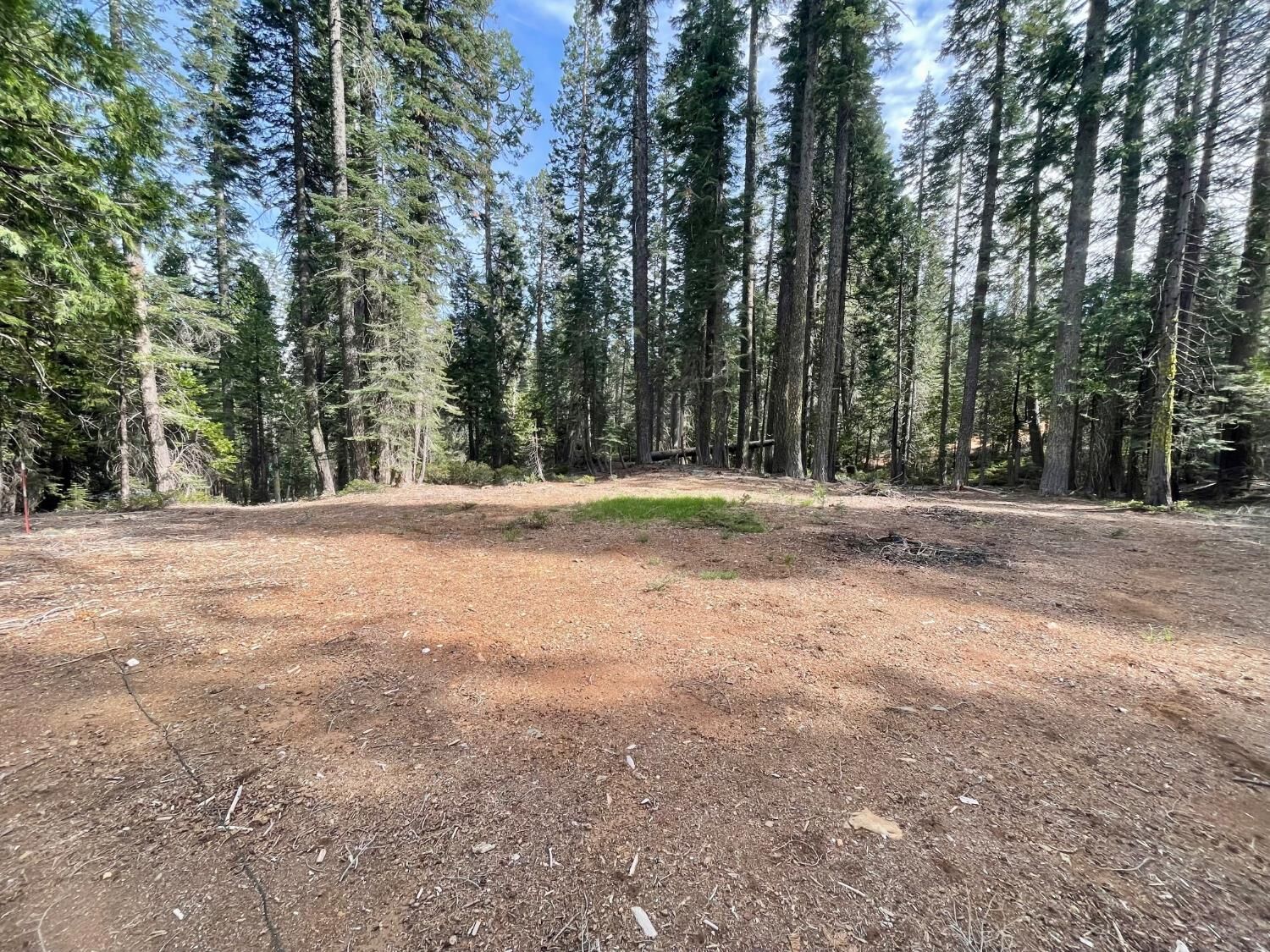 Property Photo: 3020 Hidden Court CA 95981