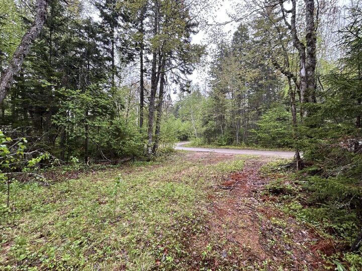 Property Photo:  Lot 116 Village Road  NS B4N 3V8 