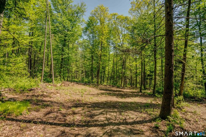 Property Photo:  47 Stagecoach Run  CT 06424 