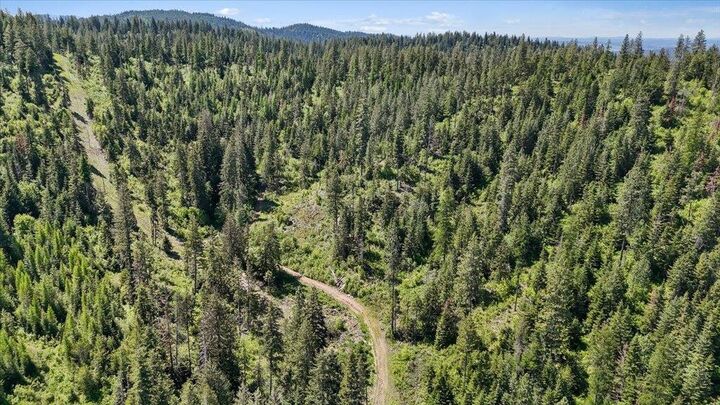 Property Photo:  18xxx E Miner Rd  WA 99021 