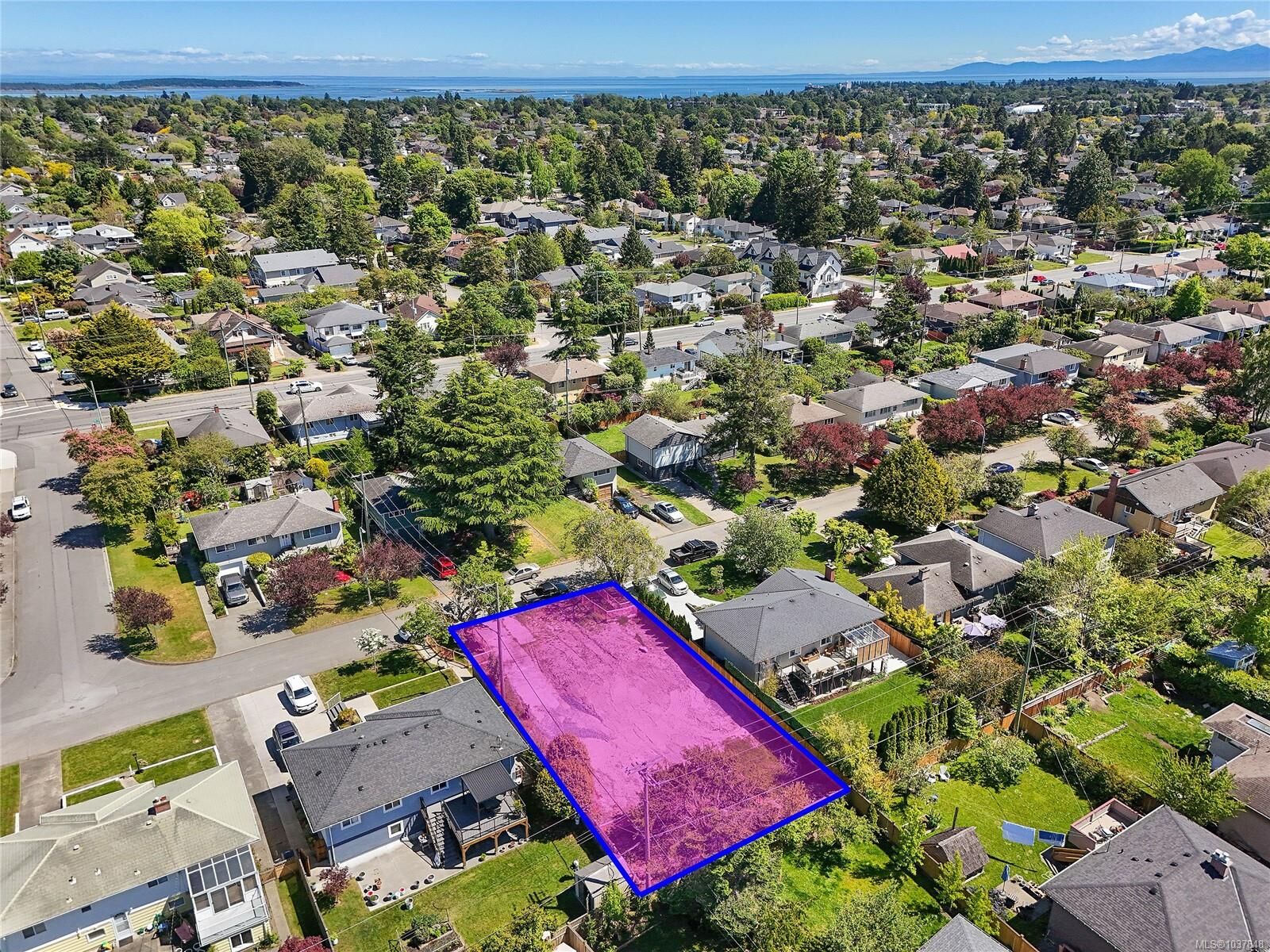 Property Photo:  2936 Queenston St  BC V8R 4P5 