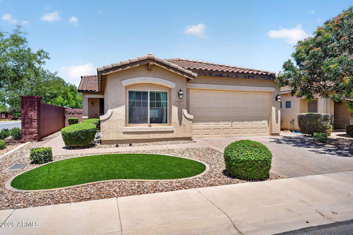 Property Photo:  950 W Sisso Tree Avenue  AZ 85140 