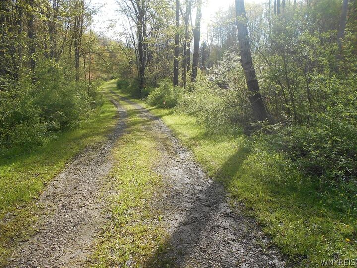 Property Photo:  0 Neamon Drive  NY 14042 