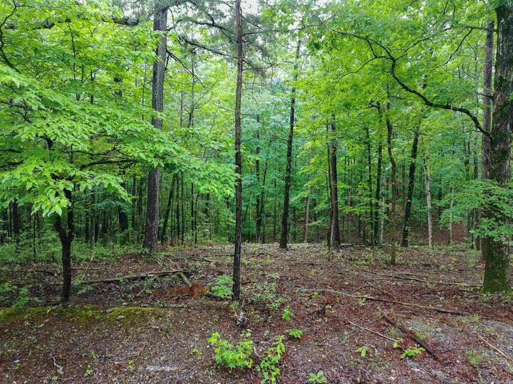 Property Photo:  279 Needham Road  AR 71901-9471 