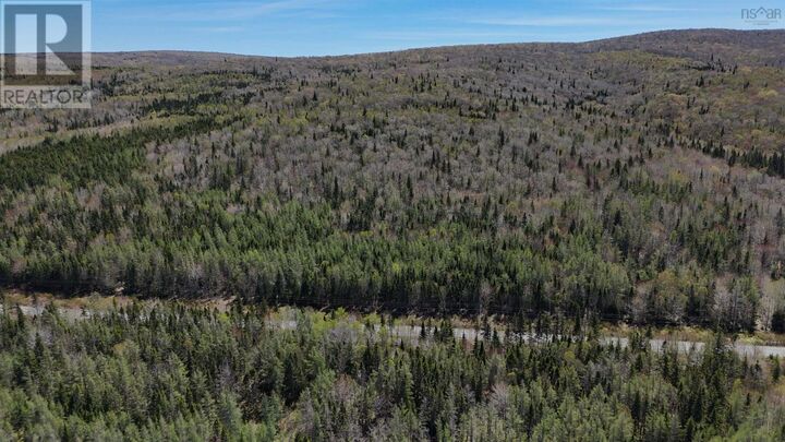 Property Photo:  Highway 252 (99ac)  NS B0E 1X0 