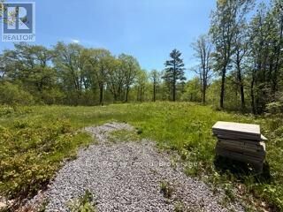 Property Photo:  6409 Stirling Marmora Road  ON K0K 2M0 