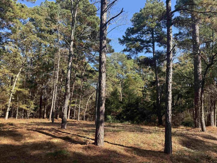 Property Photo:  186 Susan Dr  TX 75757 