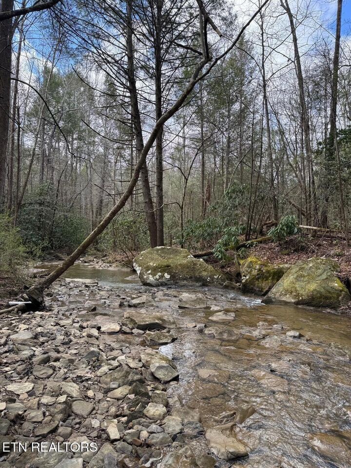 Property Photo:  0 Highway 3484  KY 40977 
