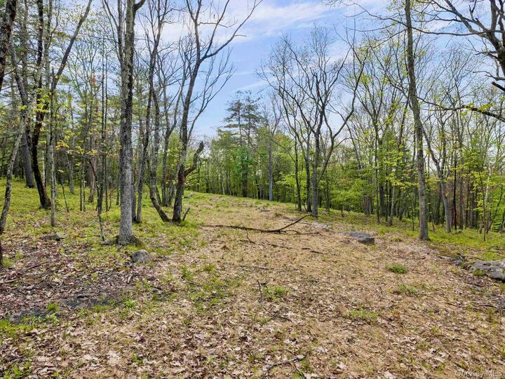 Property Photo:  Tbd Route 44/55  NY 12446 