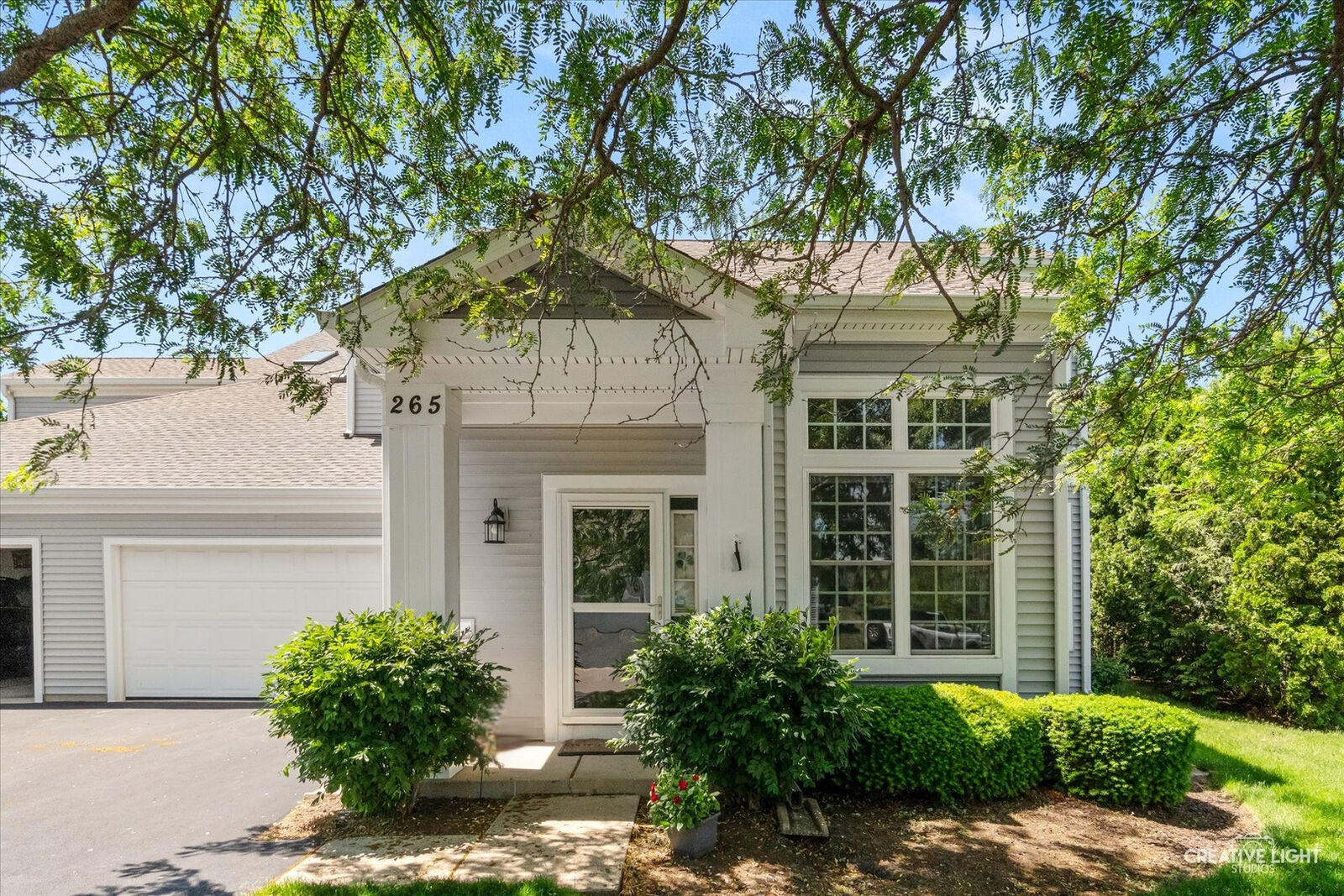 Property Photo:  265 Grays Drive 265  IL 60543 