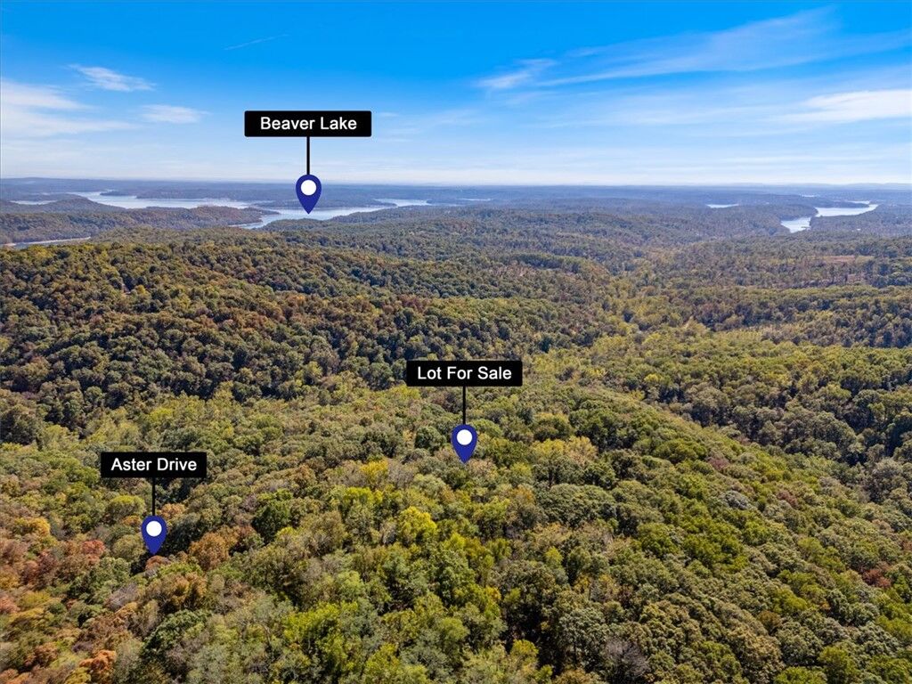 Property Photo:  Lot 261 Aster Drive  AR 72756 