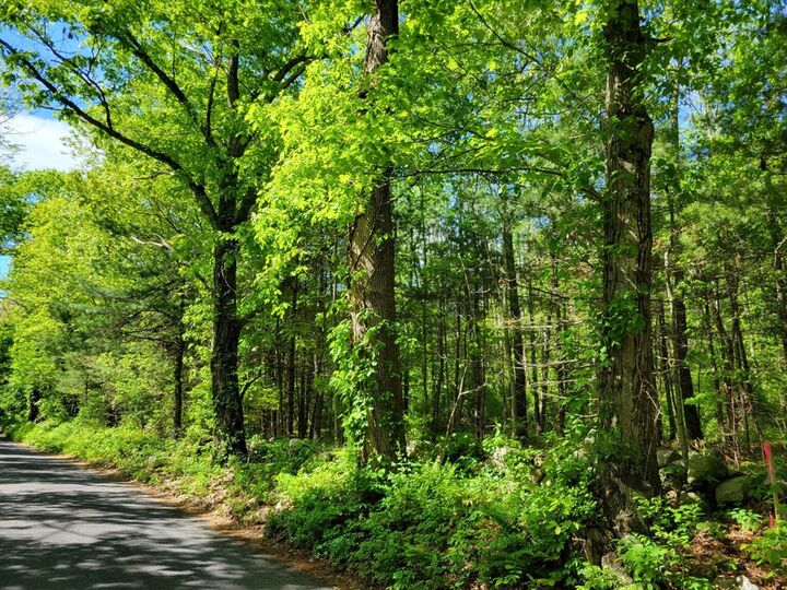 Property Photo:  Lot 6 Daniels Rd  MA 01507 