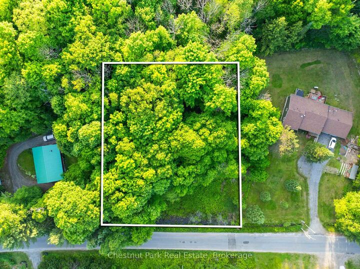 56 Vernon Lane — photo 1