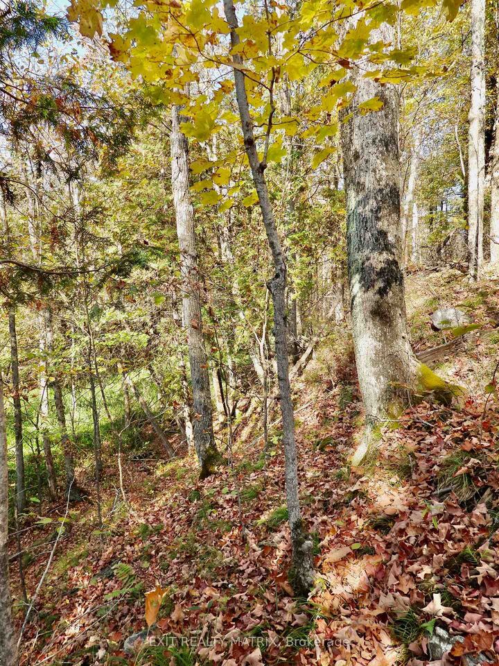 Property Photo:  Lot 1 Woodland Park Drive  ON K0H 1B0 