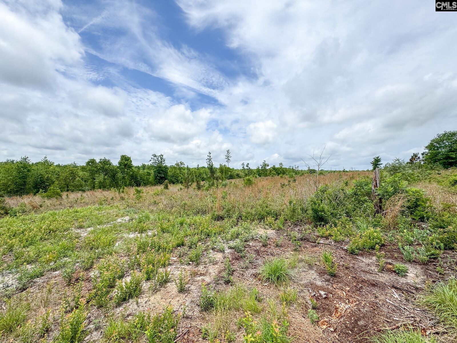 Property Photo: 0 Neely Wingard Lot 7 SC 29054