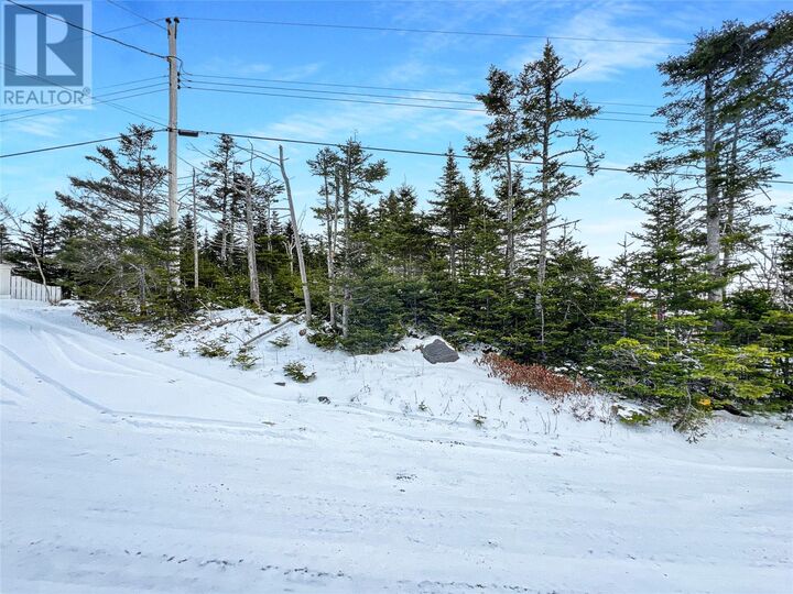 Property Photo:  206 Vineland Road  NL A0A 2R0 