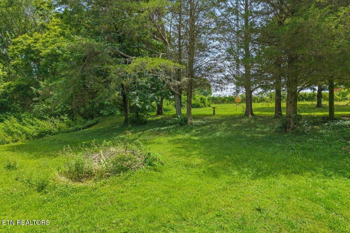 Property Photo: 000 Buck Brown St TN 37329