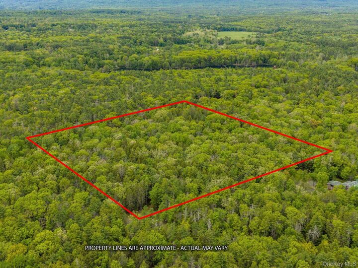 Property Photo:  40 Mamoud Hills, Lot #4 Road  NY 12401 