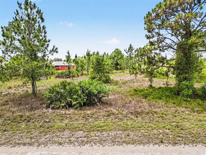 Property Photo: 1046 Chandlee Street FL 33974