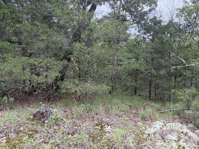 Property Photo: 1031 Old Dolph Road AR 72519