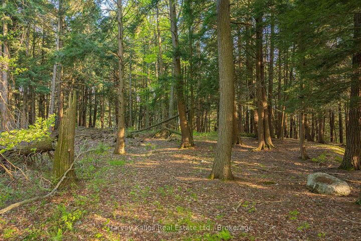 Property Photo:  38 Gryffin Bluffs Lane Lot #8  ON P0B 1M0 