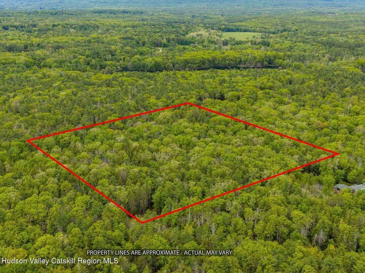 Property Photo:  40 Mamoud Hills  NY 12498 