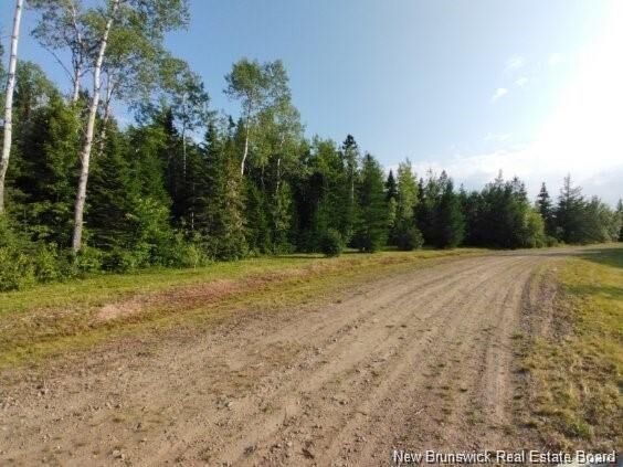 Property Photo:  Lot-15-3 Route 134  NB E4S 1E7 