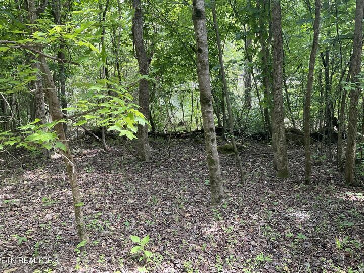 Property Photo:  Anna Laura Lane  TN 37854 