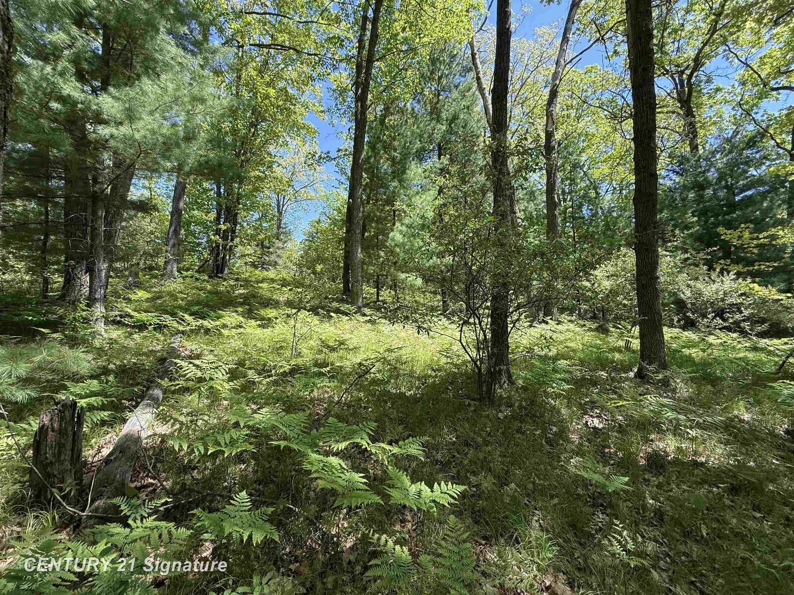 Property Photo:  981 E Cranberry Lake Road  MI 48625 