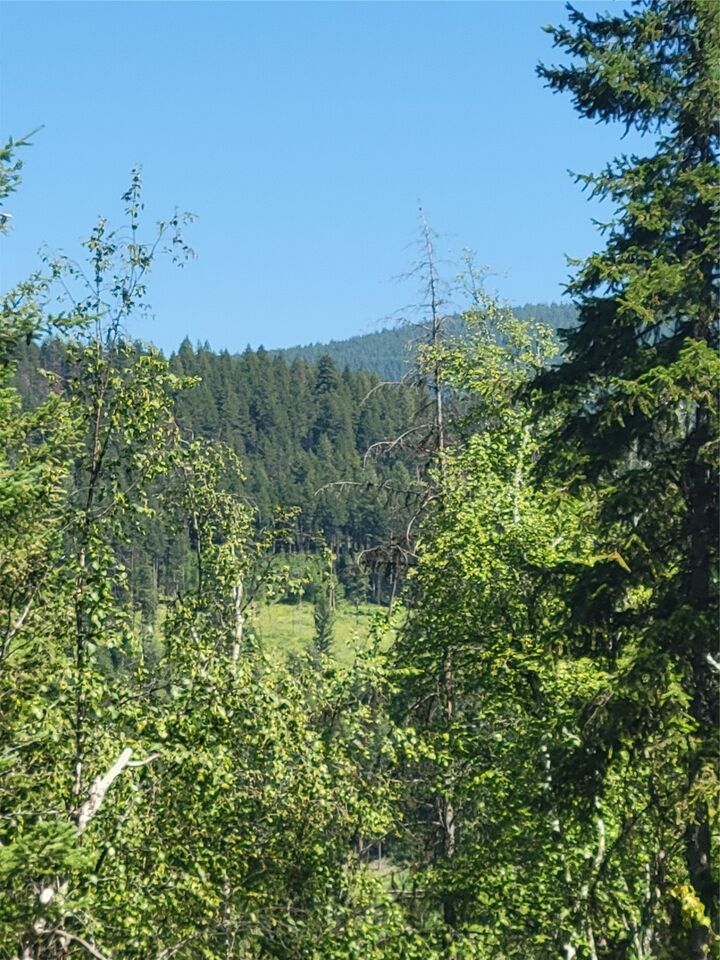 Property Photo:  941 Chase Falkland Road  BC V0E 1M1 
