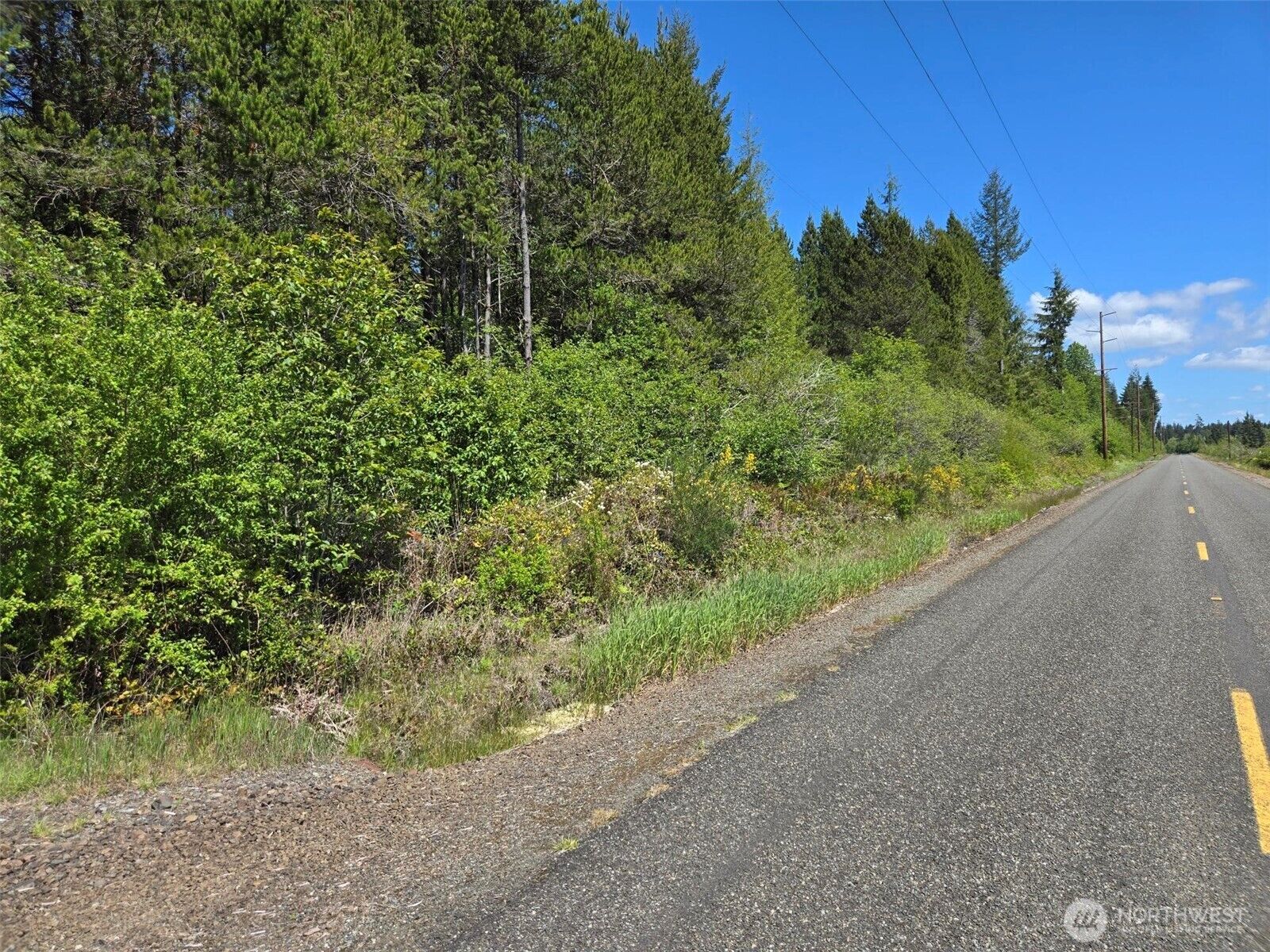 Property Photo: 256 Walker Road WA 98550