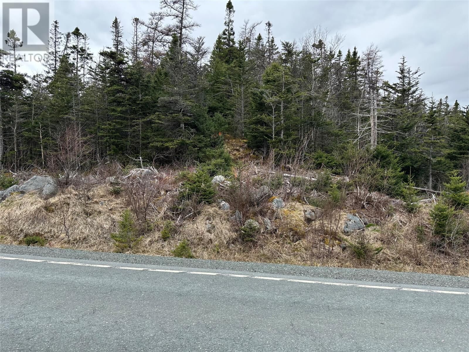 Property Photo:  106 Liam Hickey Drive  NL A0A 2R0 