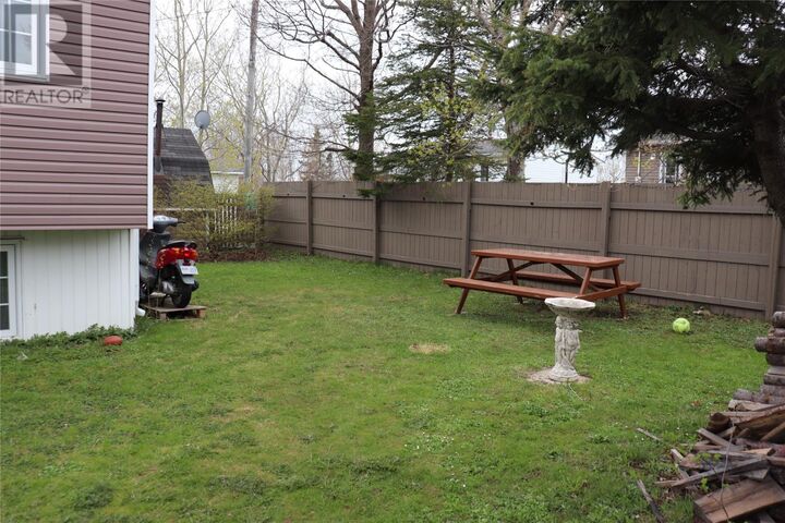 Property Photo:  101 Queen Street  NL A2N 2N1 