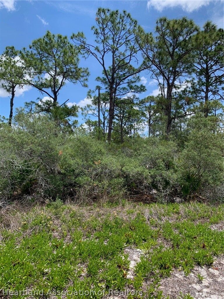 Property Photo:  553 Wildflower Street  FL 33852 
