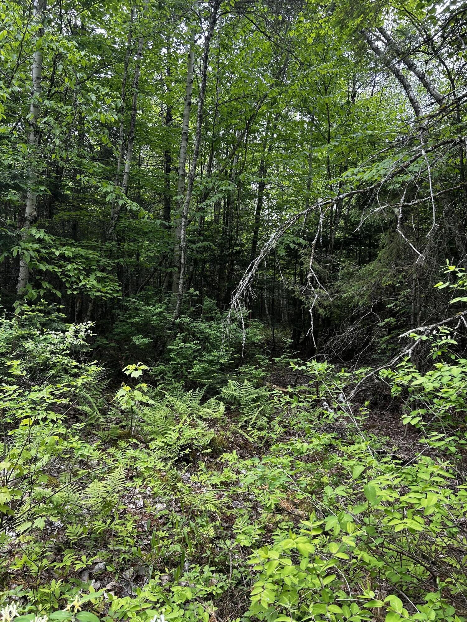 Property Photo:  Lot 9-4 Lilly Drive  ME 04953 