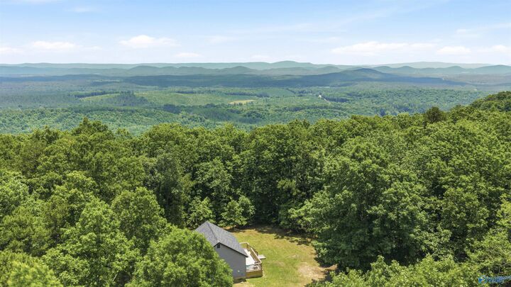 Property Photo:  773 County Road 861  AL 35973 