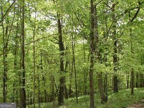 Property Photo: 141 Fort Wayne Court GA 30183