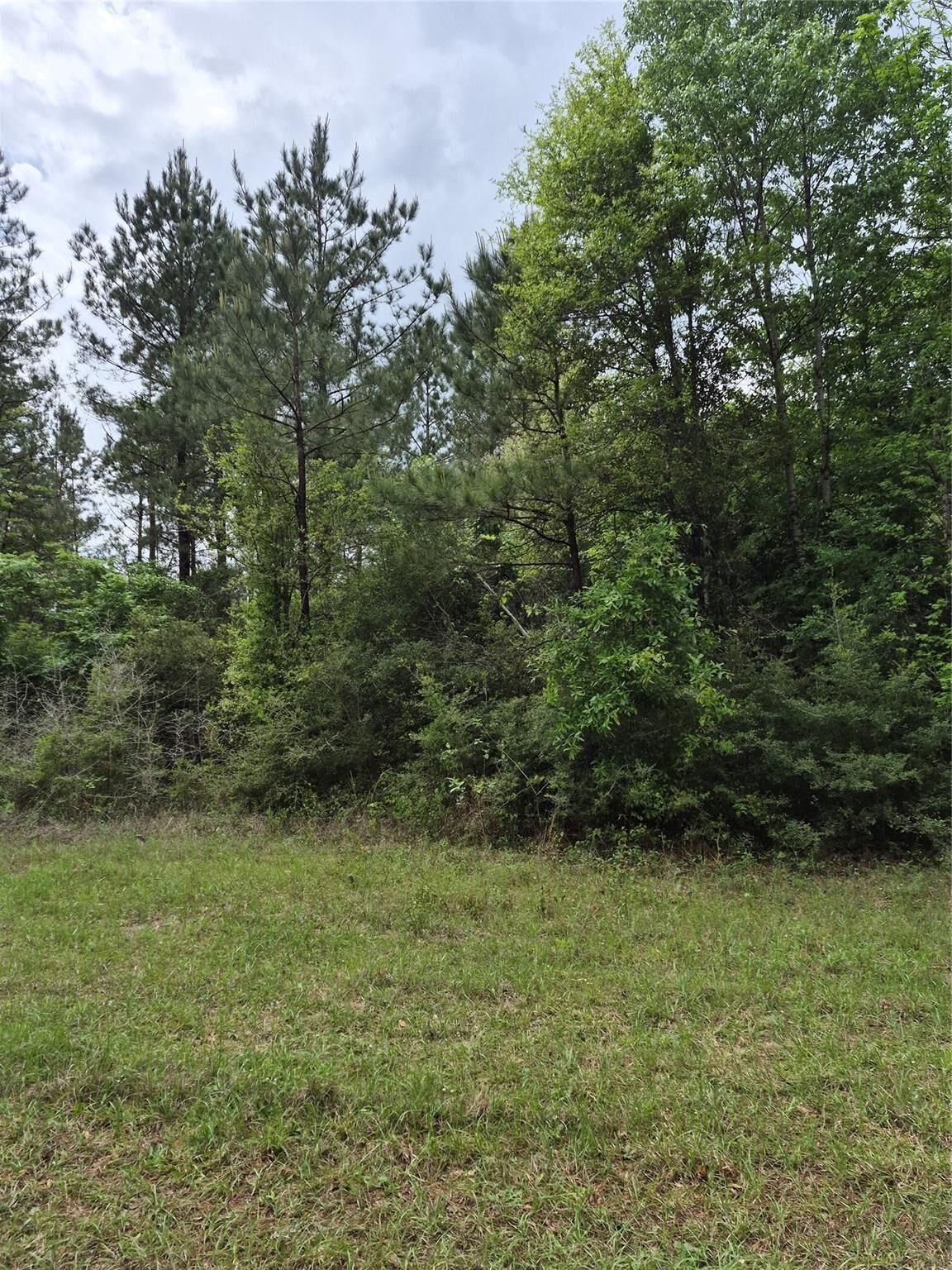 Property Photo: 003 E Tbd Schwab Rd / Sh 146 Road TX 77351