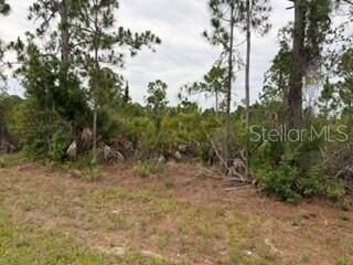 Property Photo:  12141 Mc Elroy Avenue  FL 33981 
