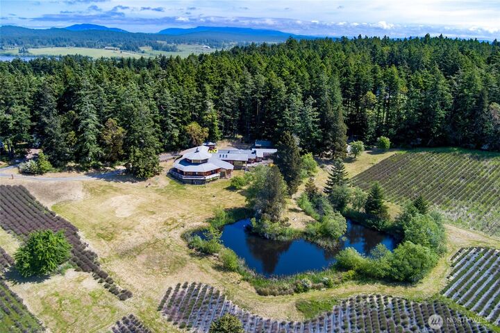 Property Photo:  206  Hawthorne Lane  WA 98250 