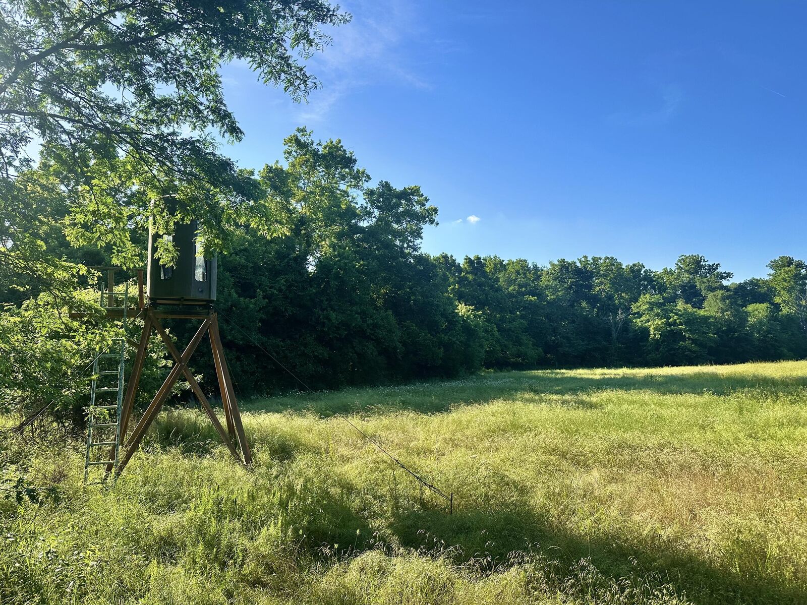 Property Photo: 14188 County Road 195 MO 65779