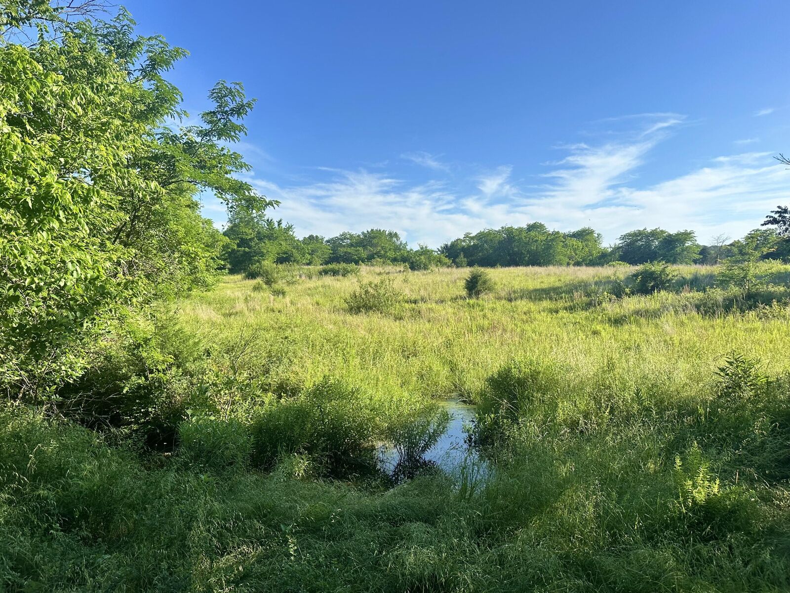 Property Photo: 14188 County Road 195 MO 65779