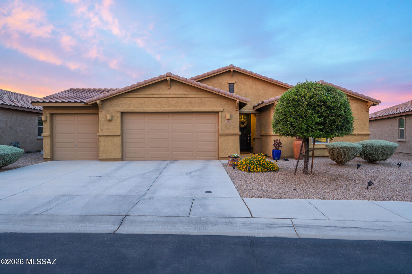Property Photo:  12394 N Sandby Green Drive  AZ 85653 