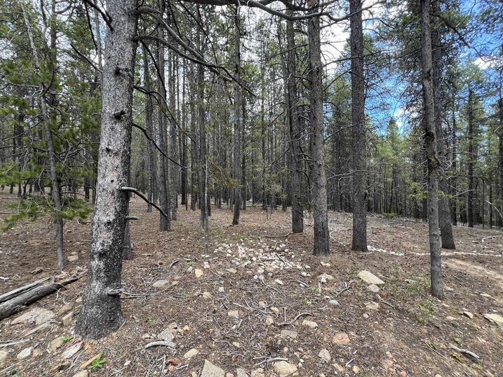Property Photo: 10555 Thk Road WY 82601
