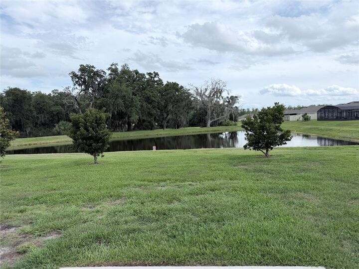 Property Photo:  1917 Cricket Cradle Drive  FL 34746 