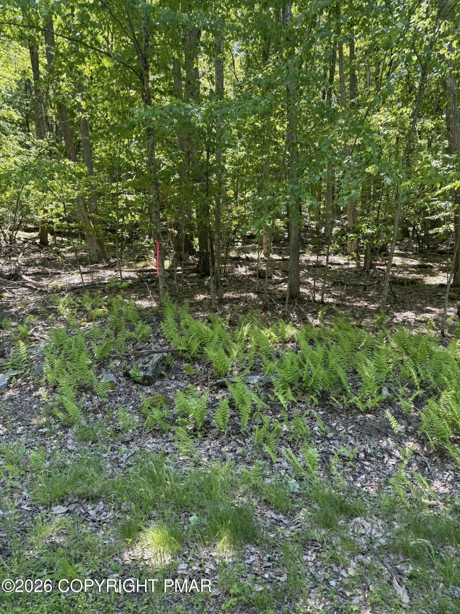 Property Photo: Paper Birch N PA 18464