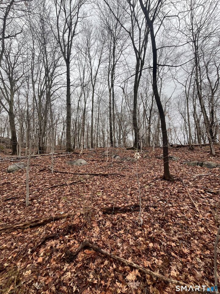 Property Photo:  Vine Street  CT 06360 