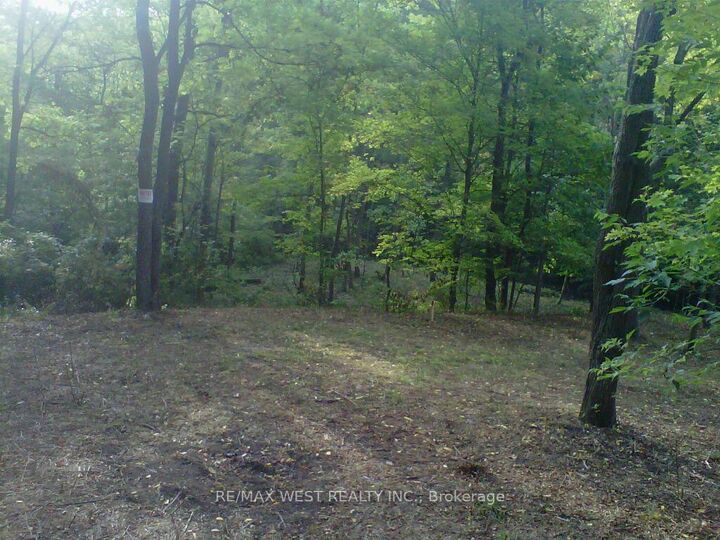 Pt Lt 4 Sulphur Spring Drive N/A — photo 1